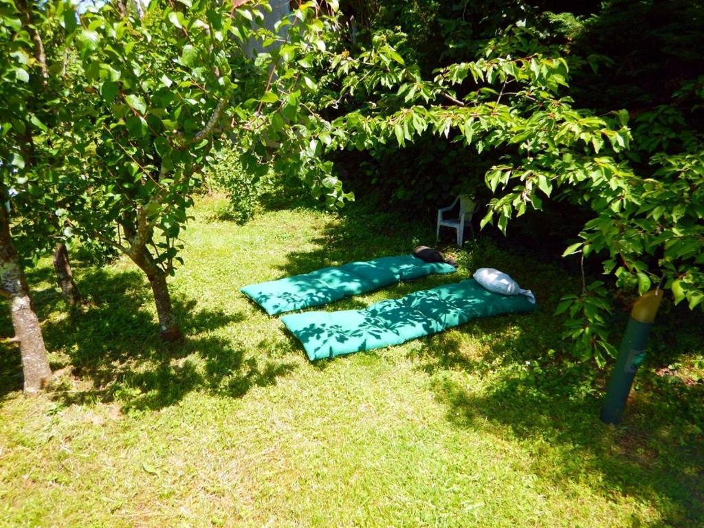 トゥールーズ80 M2 Independant 4 Personnes Direct Gare Ou Aeroport Jardin Piscineアパートメント エクステリア 写真